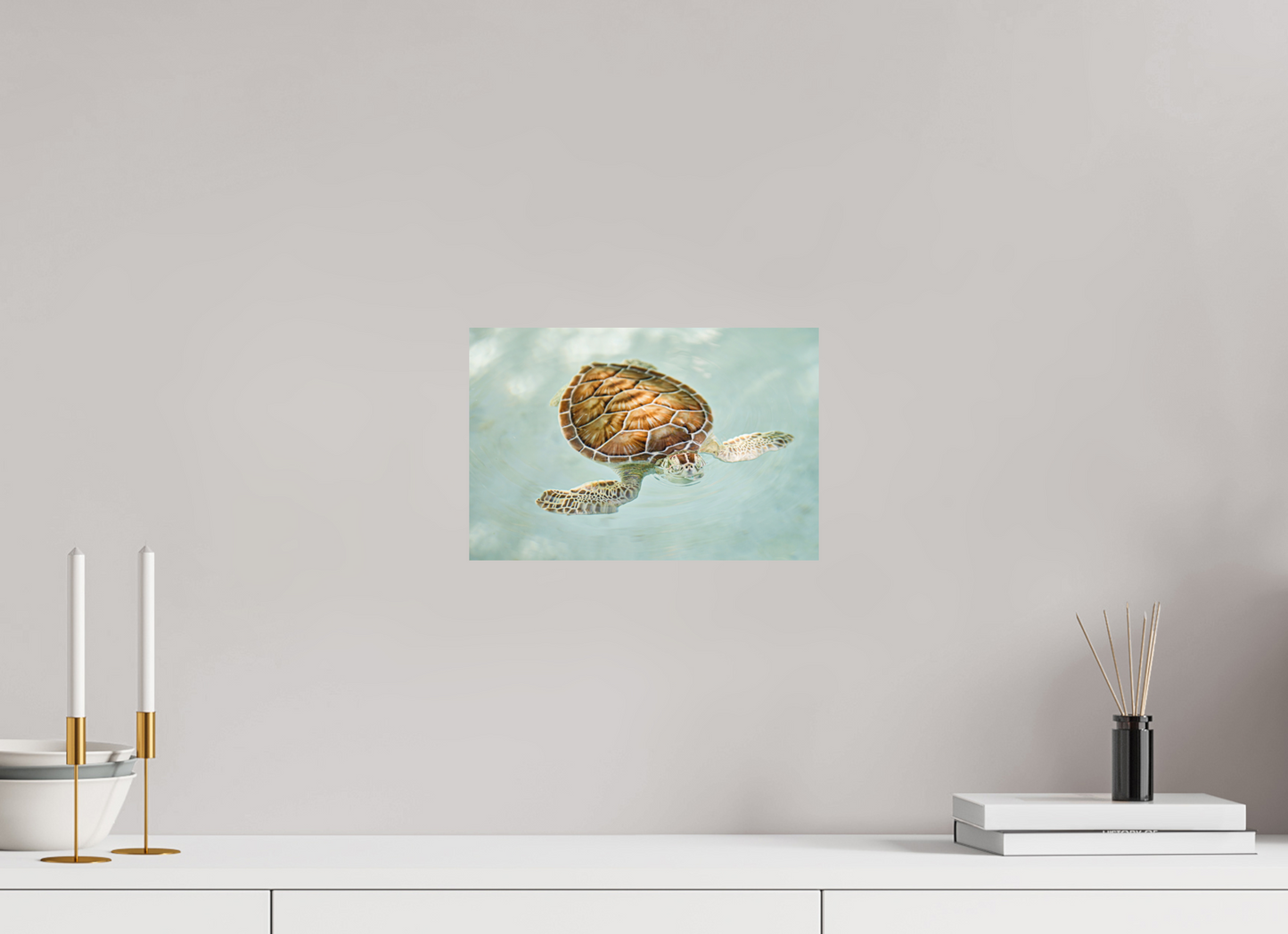 Bubbly Sea Turtle