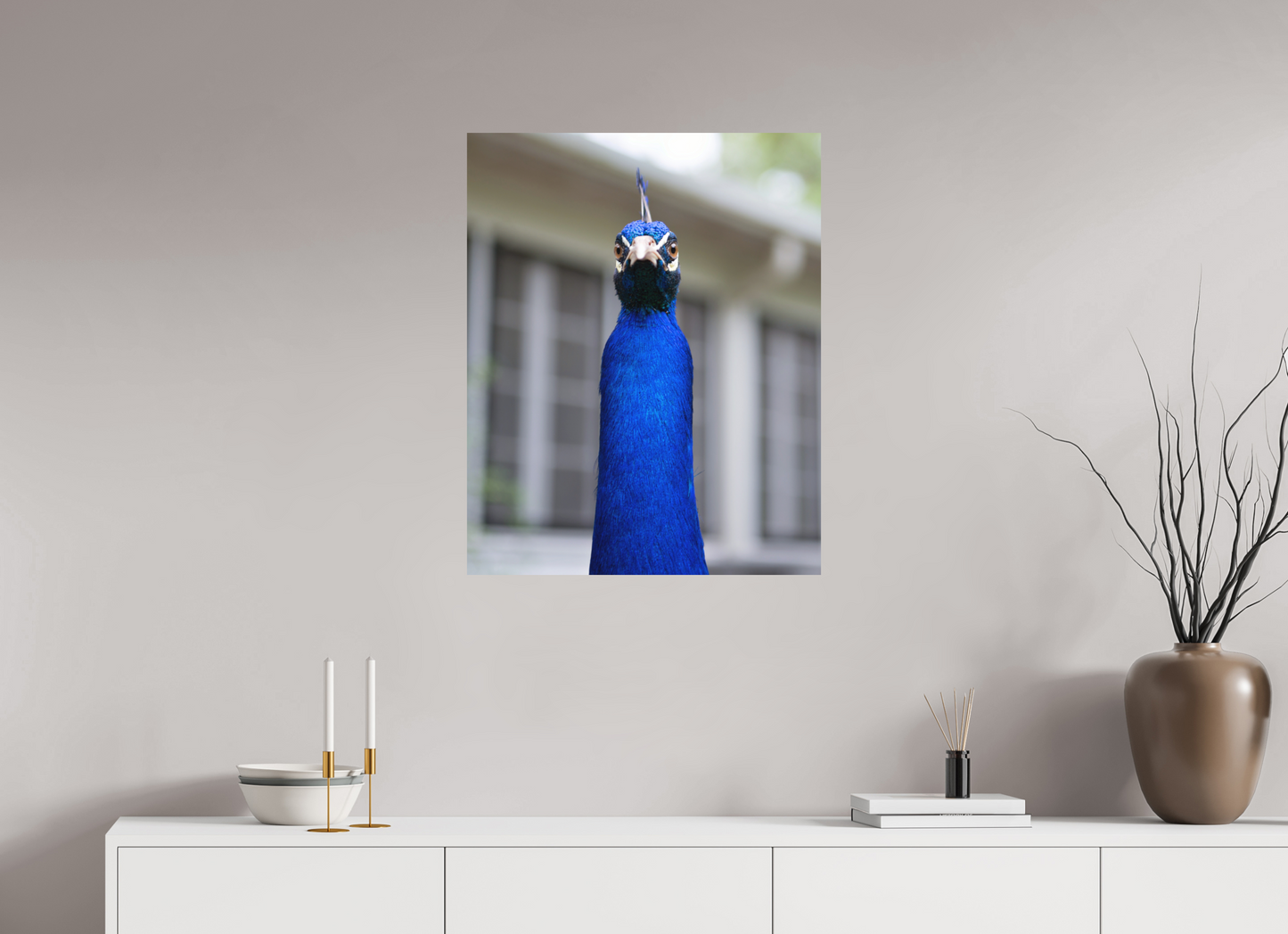 Foul Peafowl