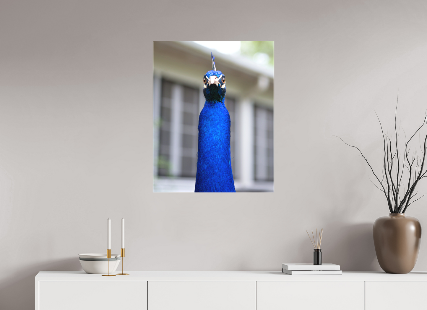 Foul Peafowl