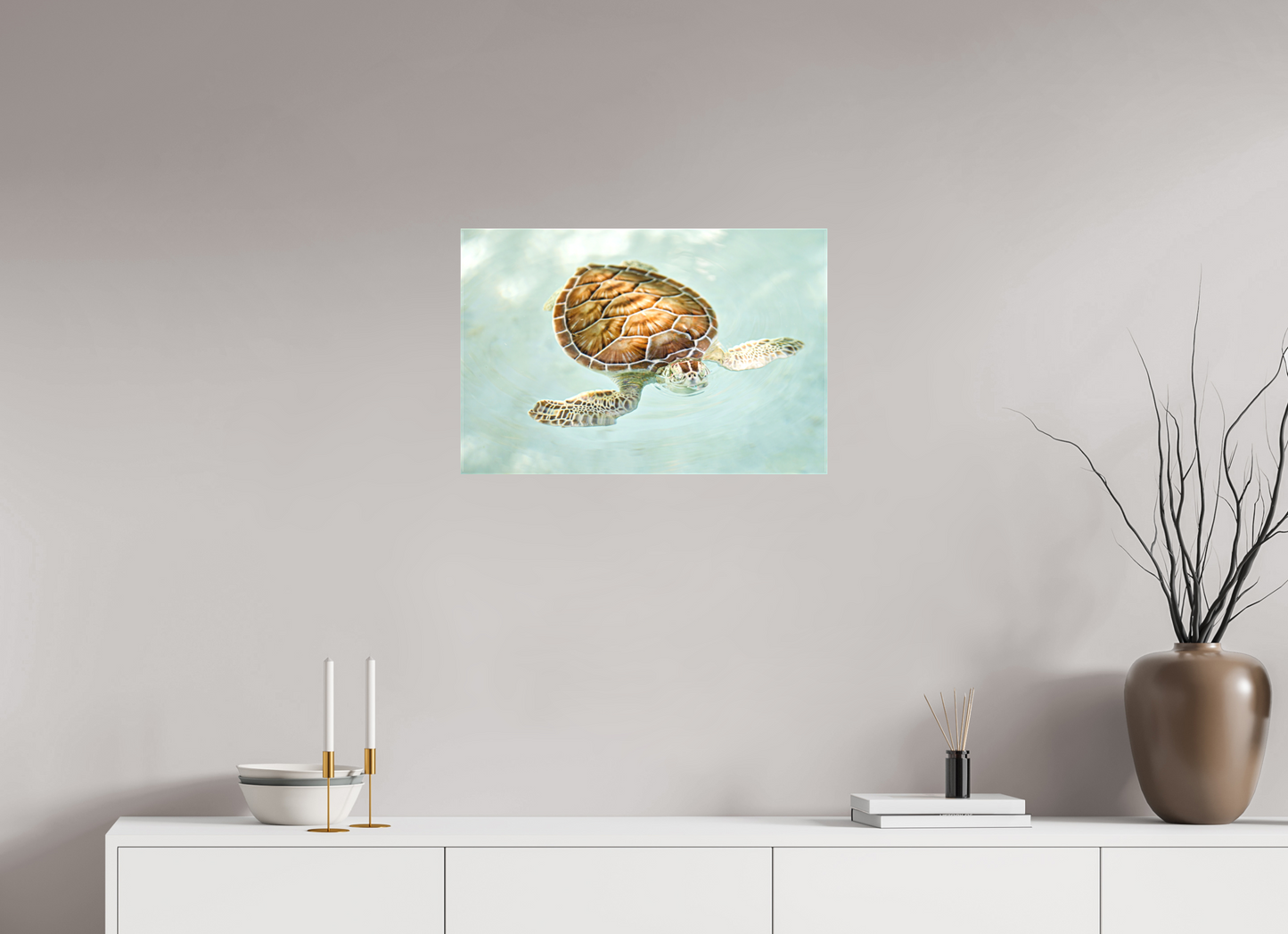 Bubbly Sea Turtle