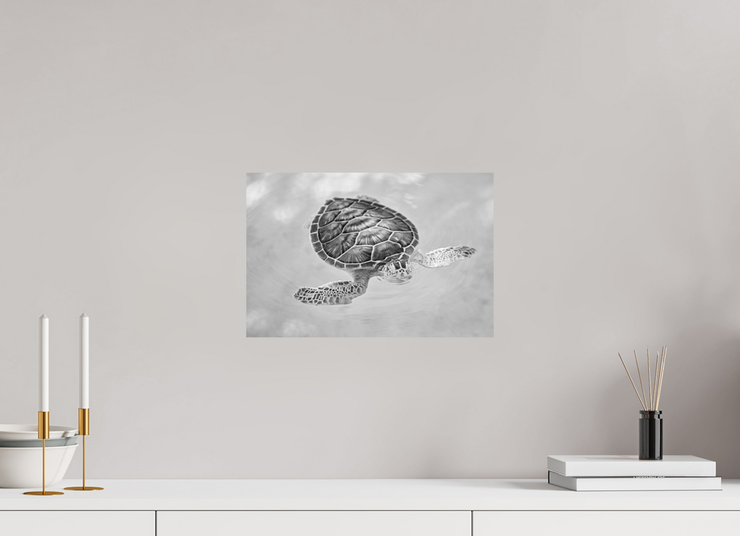 Bubbly Sea Turtle