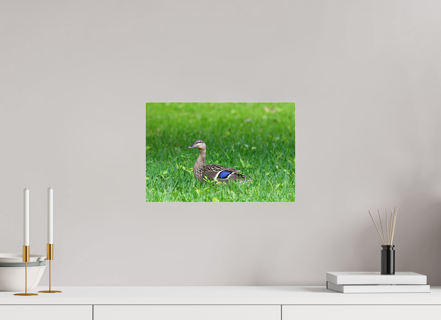 Madam Mallard