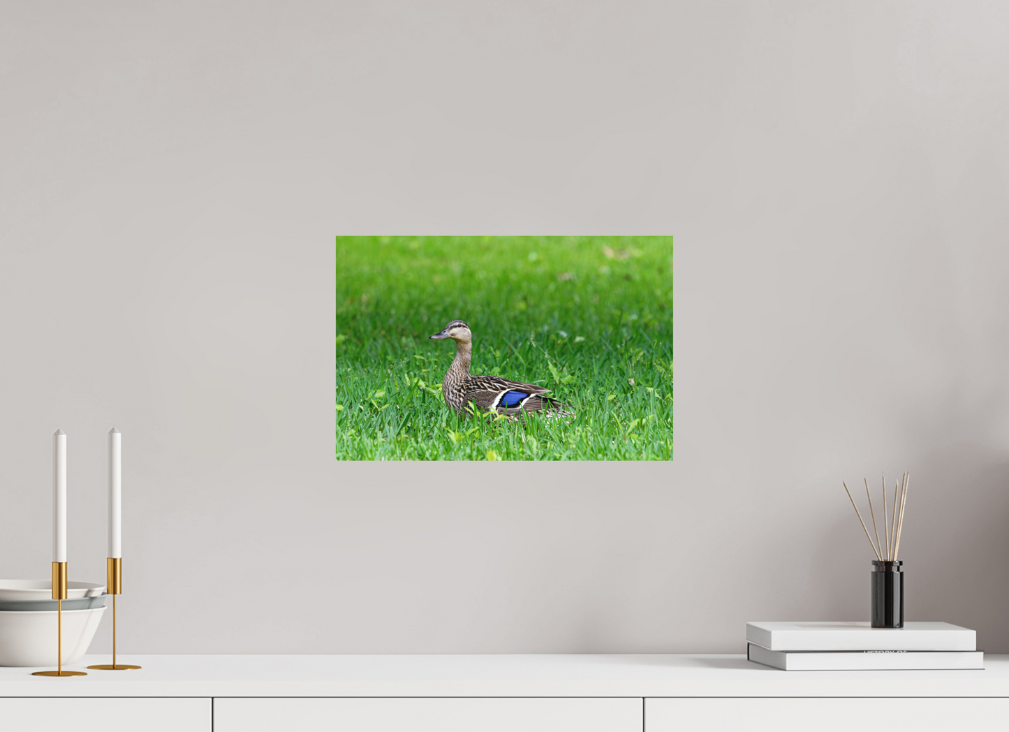 Madam Mallard