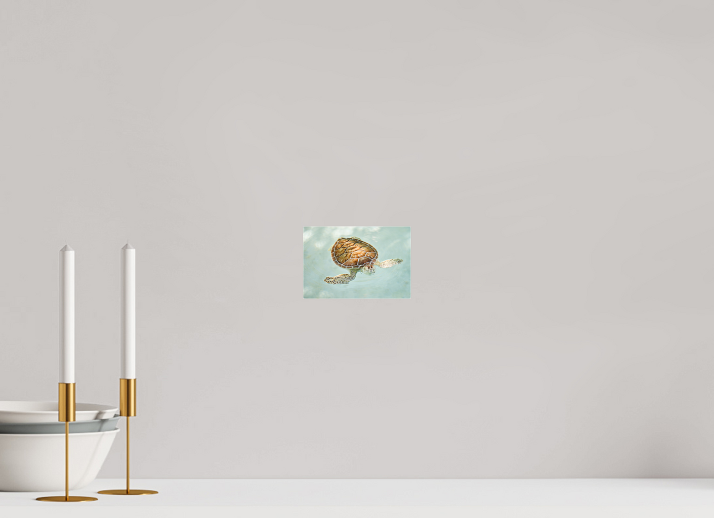 Bubbly Sea Turtle