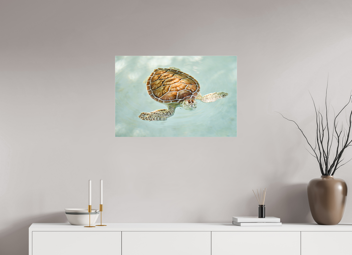 Bubbly Sea Turtle