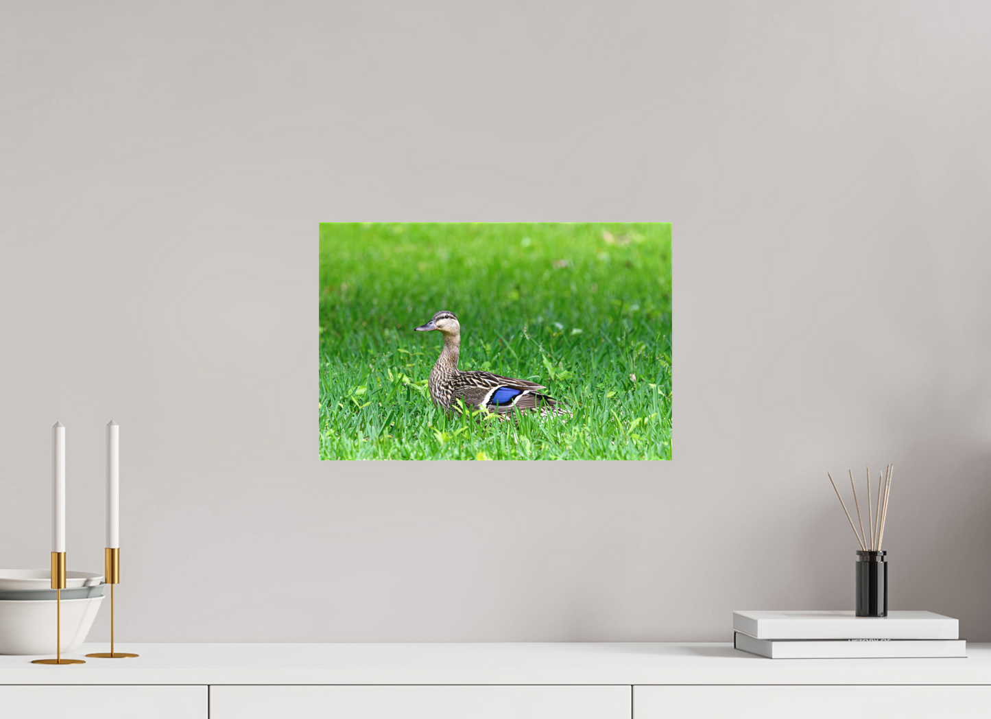 Madam Mallard