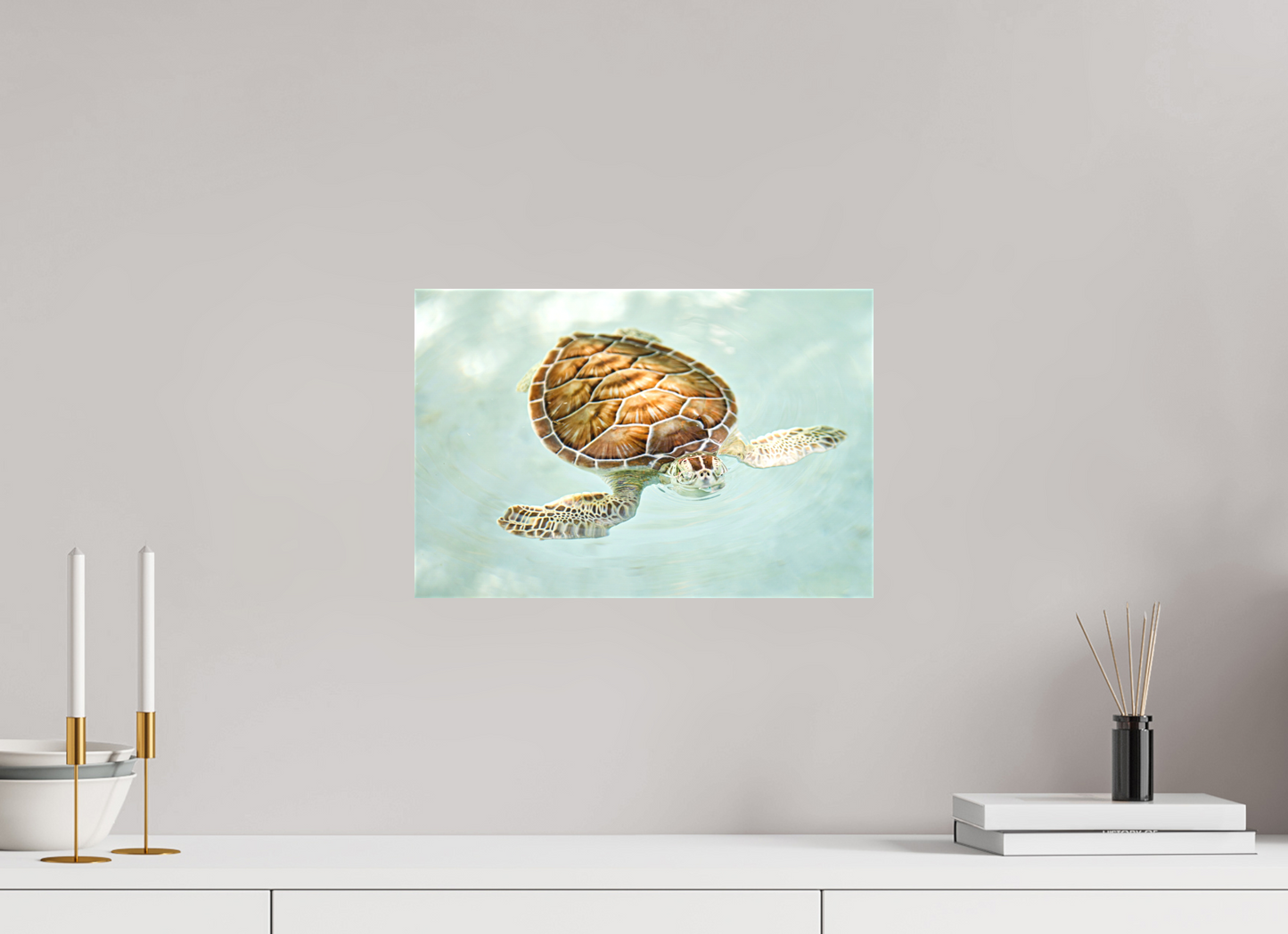 Bubbly Sea Turtle