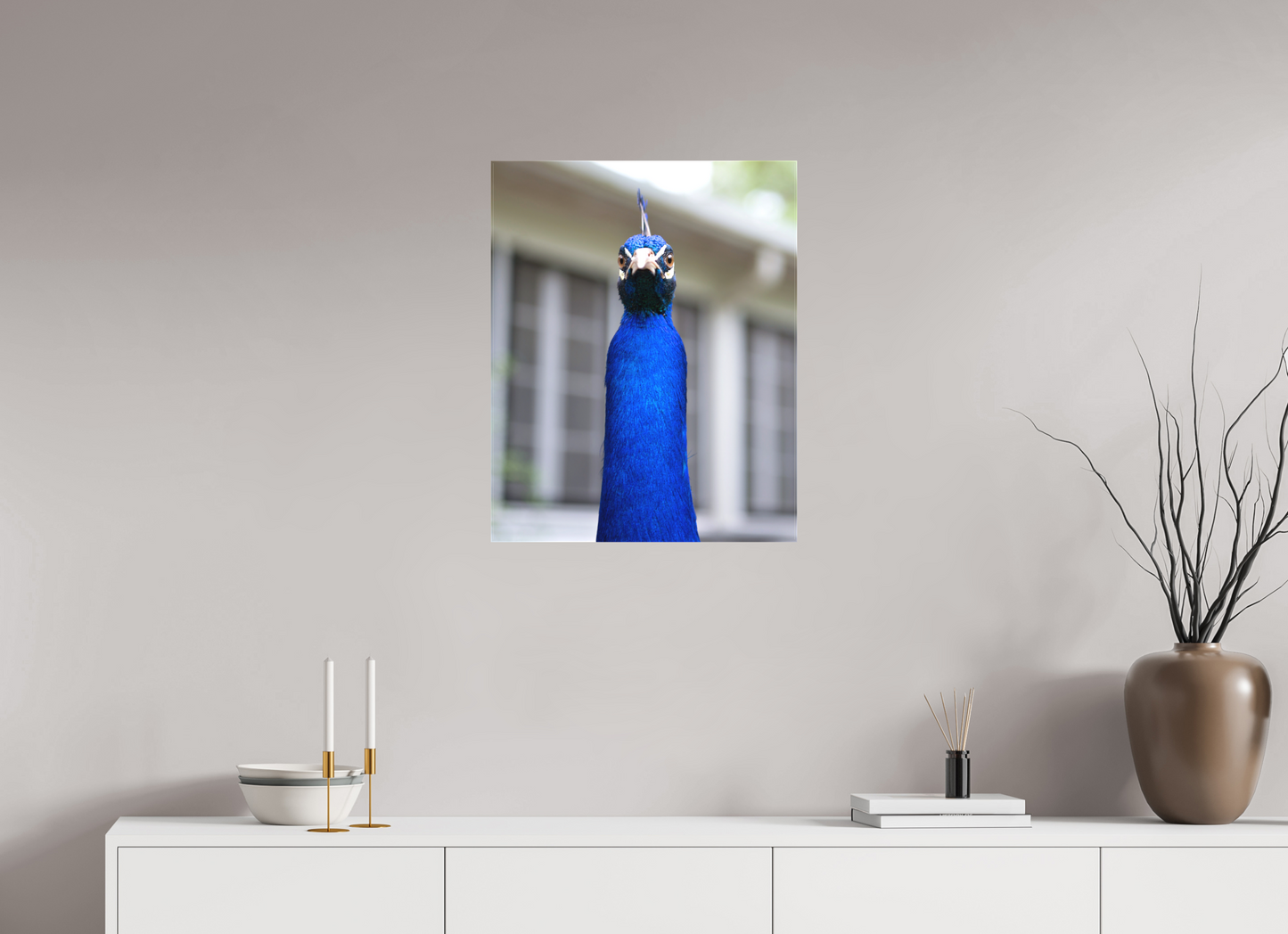 Foul Peafowl