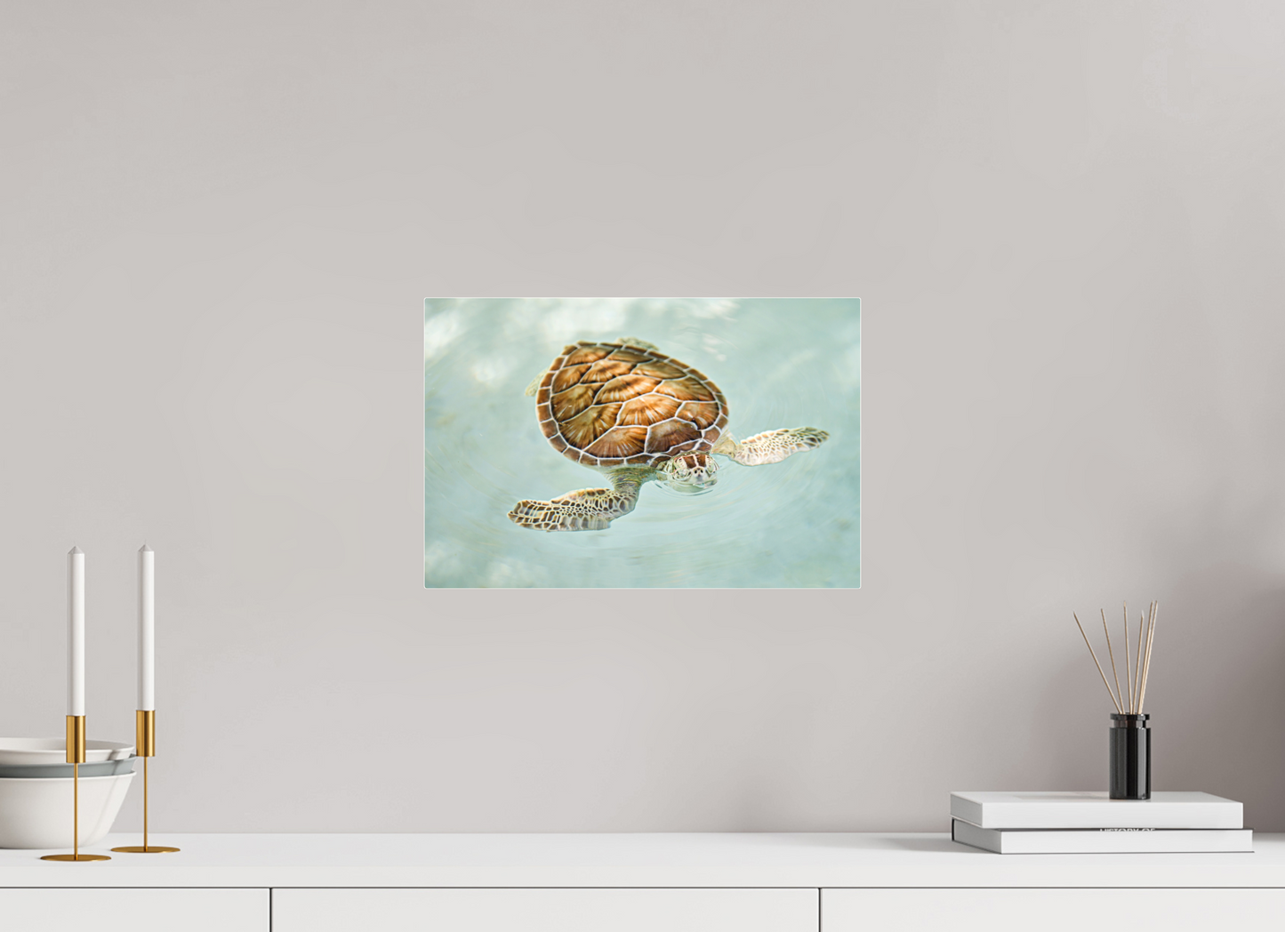 Bubbly Sea Turtle