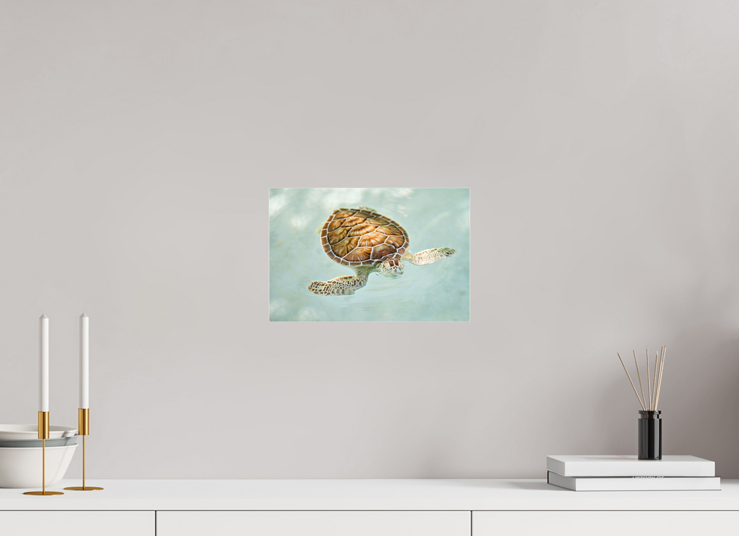 Bubbly Sea Turtle
