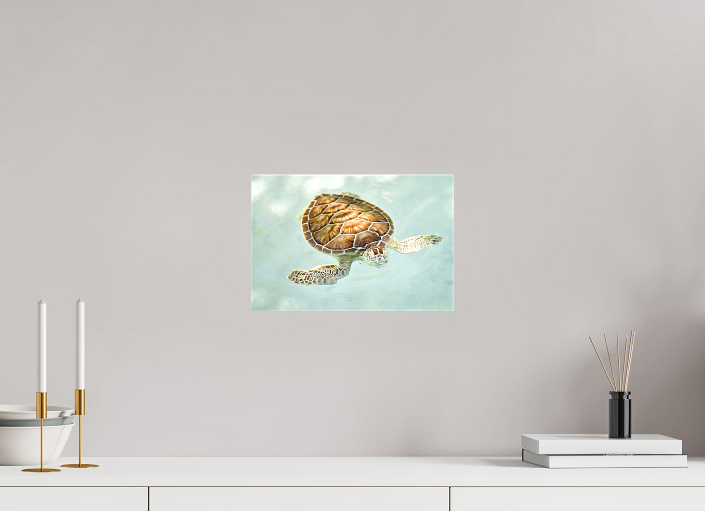 Bubbly Sea Turtle