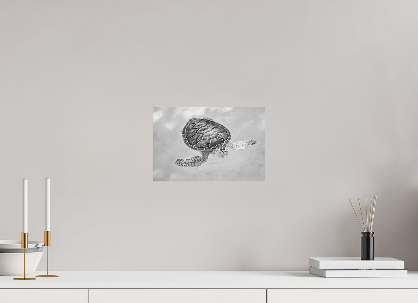 Bubbly Sea Turtle