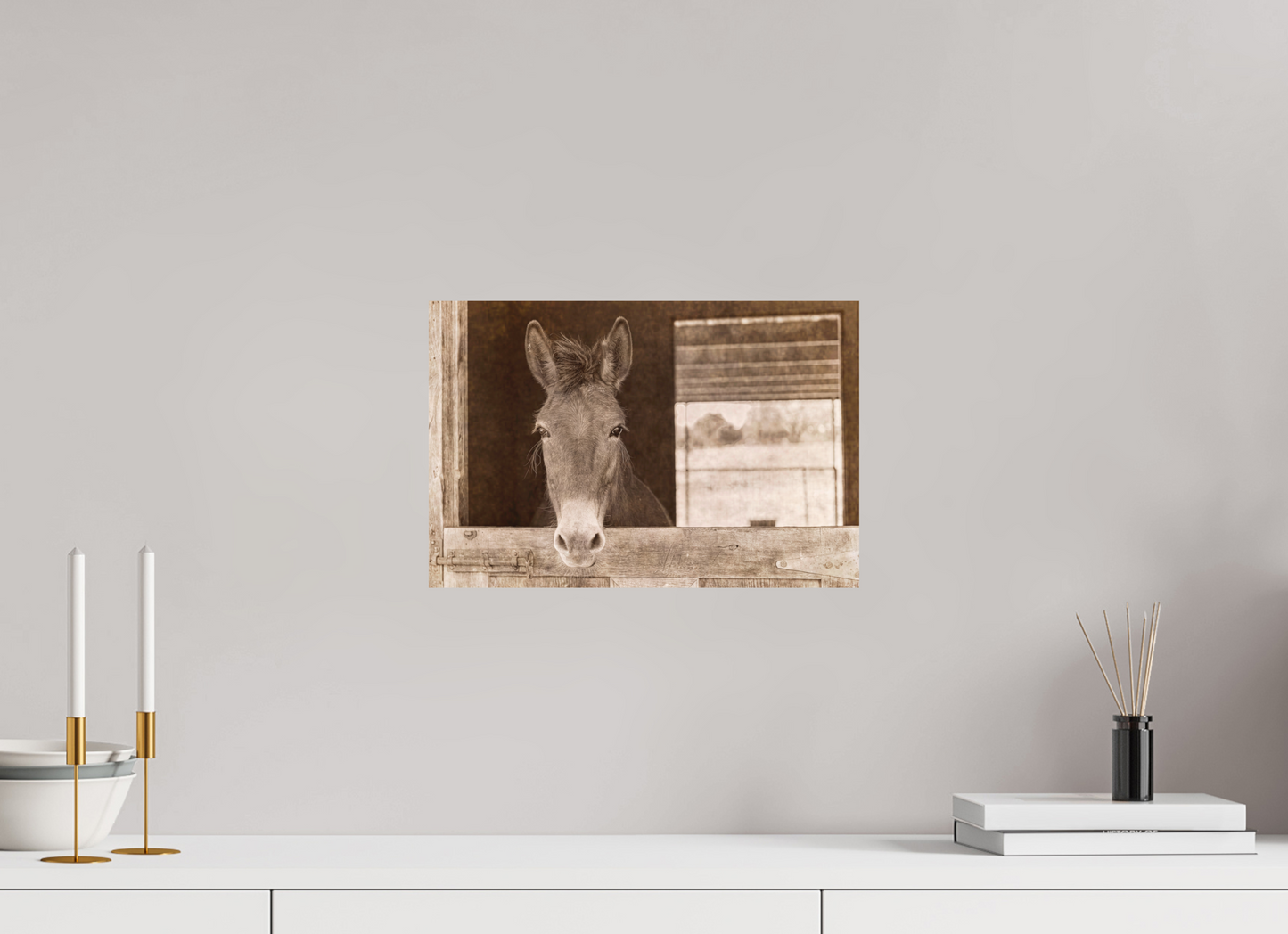 15 x 10″, Color Print Horsey contemplation