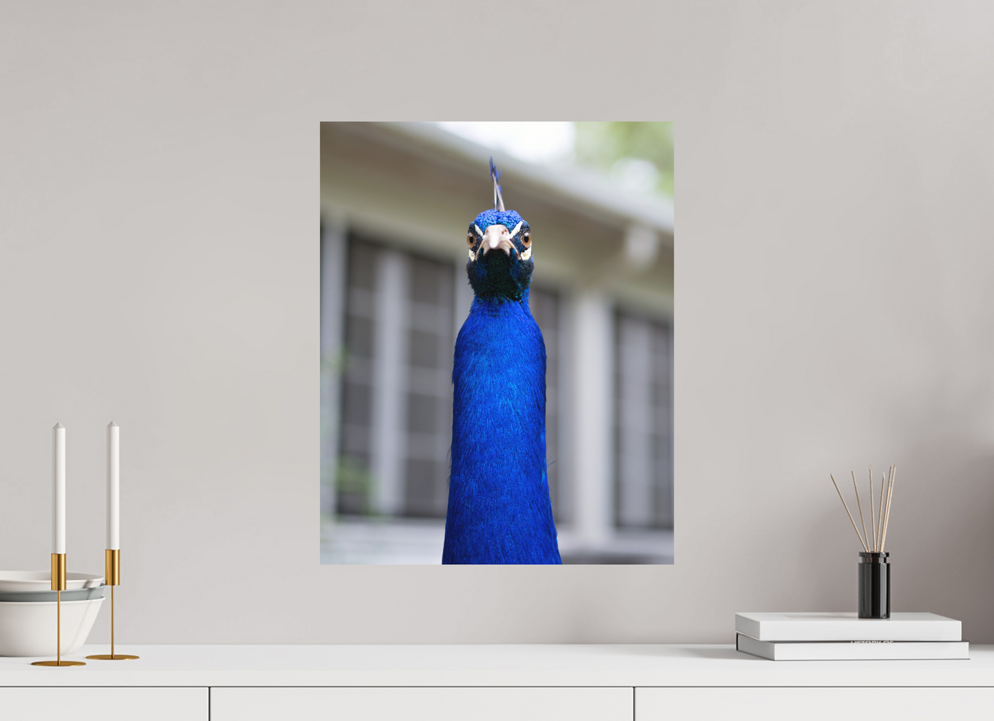 Foul Peafowl