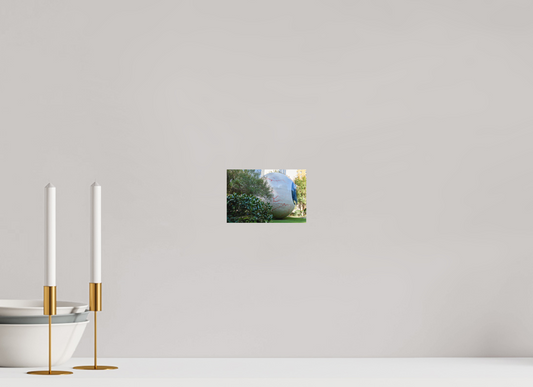 6 x 4″, Color Print Eye - roller