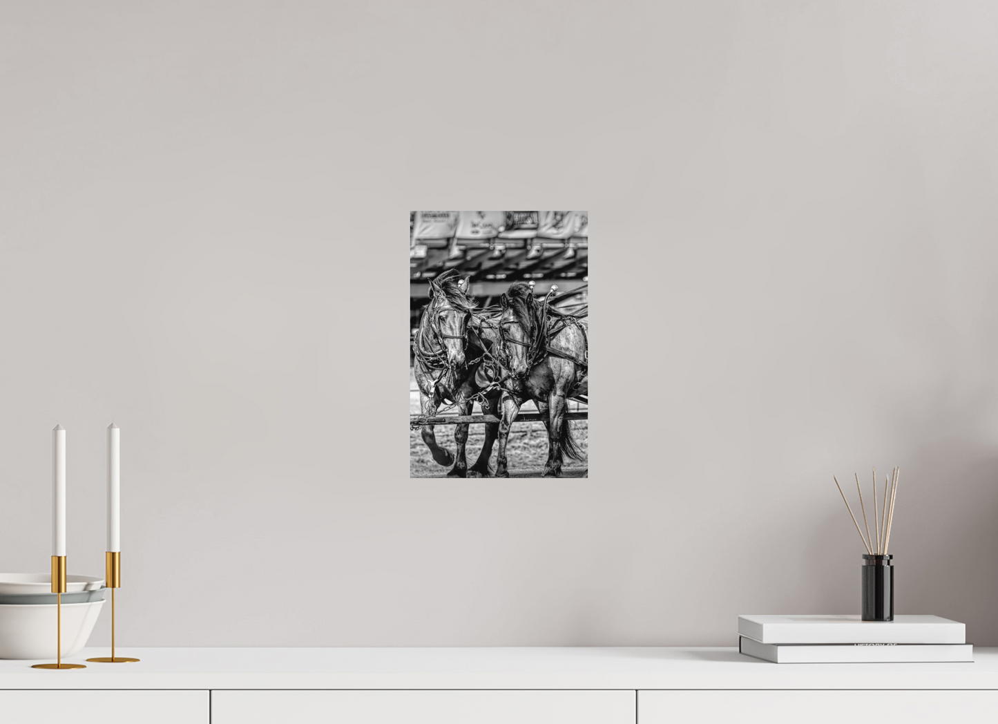 8 x 12″, Black and White Print Mane Attraction