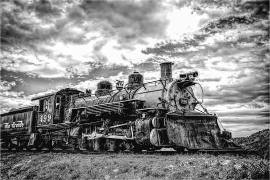 Rio Grande 499