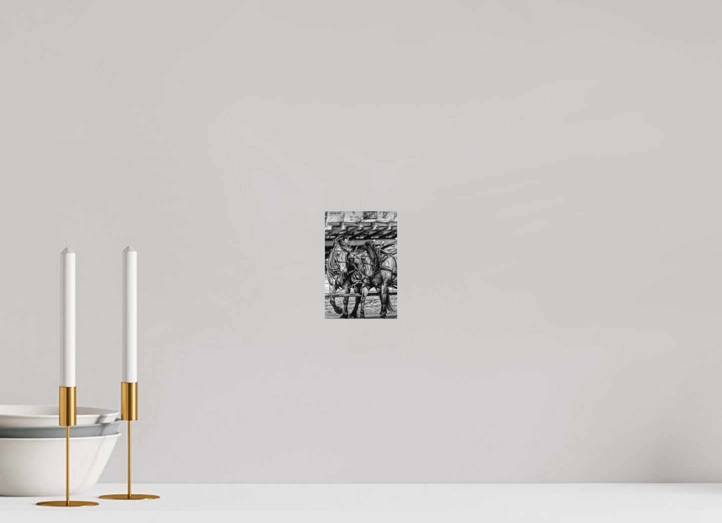 4 x 6″, Black and White Print Mane Attraction