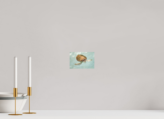 Bubbly Sea Turtle