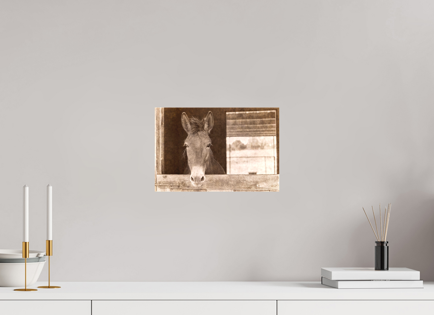 12 x 8″, Canvas Print Horsey contemplation