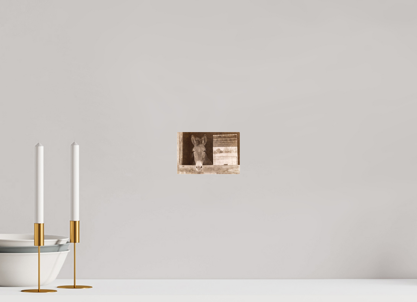 6 x 4″, Acrylic - low glare Horsey contemplation