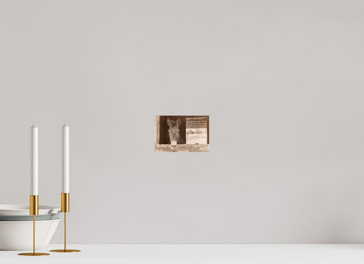 6 x 4″, Color Print Horsey contemplation