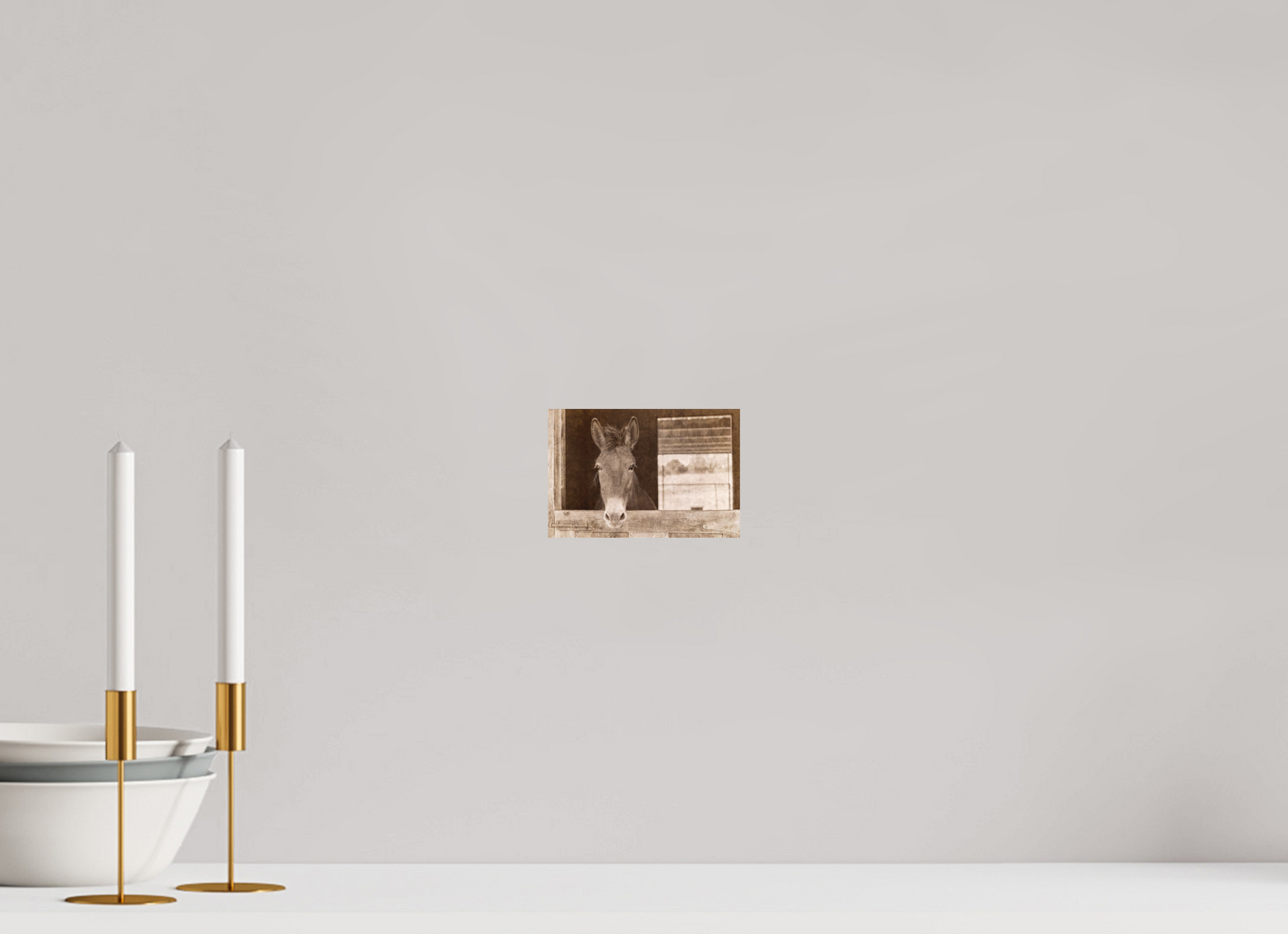 6 x 4″, Color Print Horsey contemplation