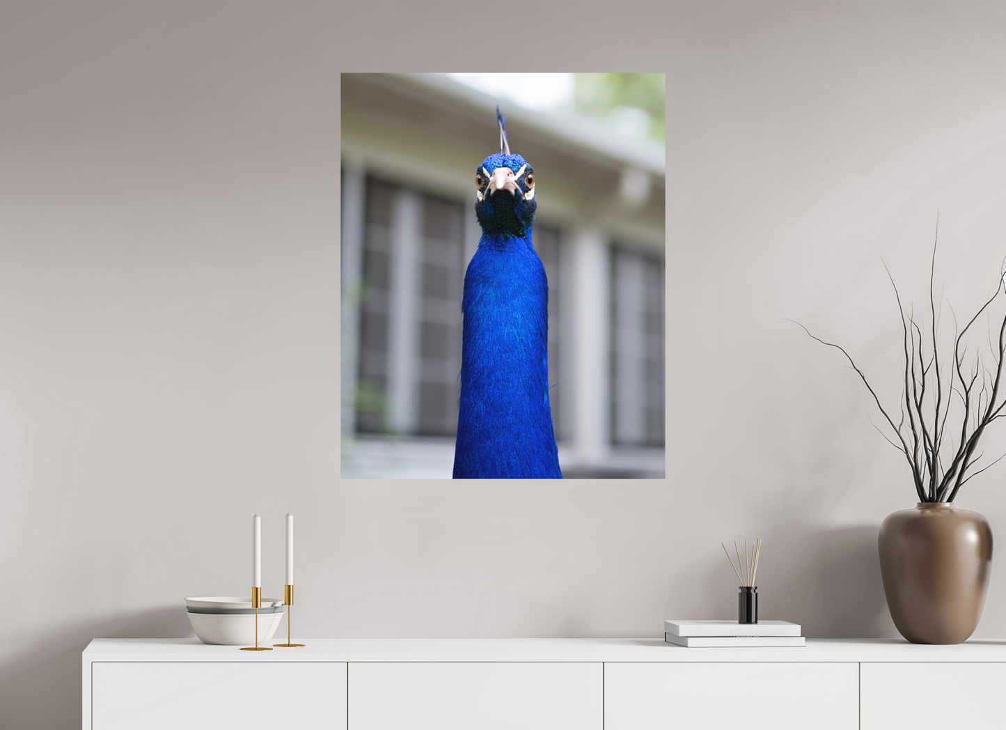 Foul Peafowl