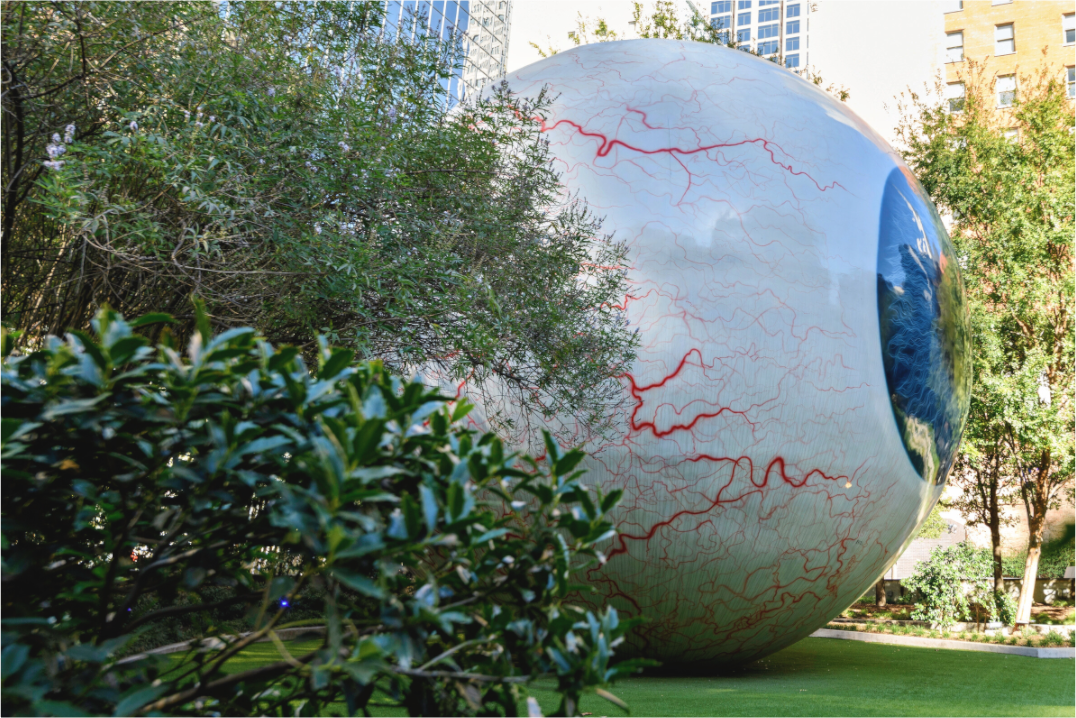 Main image Eye - roller