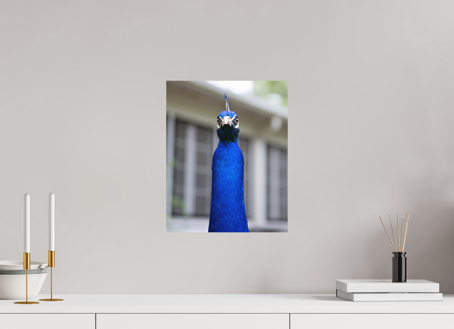 Foul Peafowl