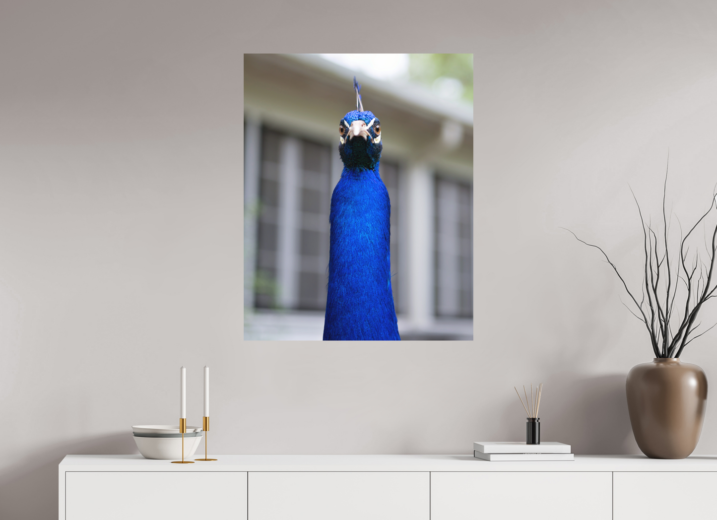 Foul Peafowl