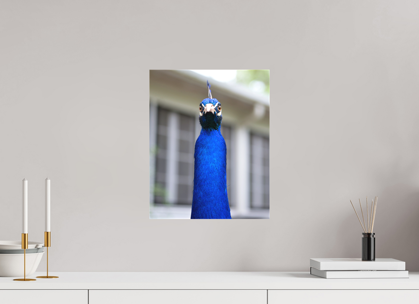 Foul Peafowl