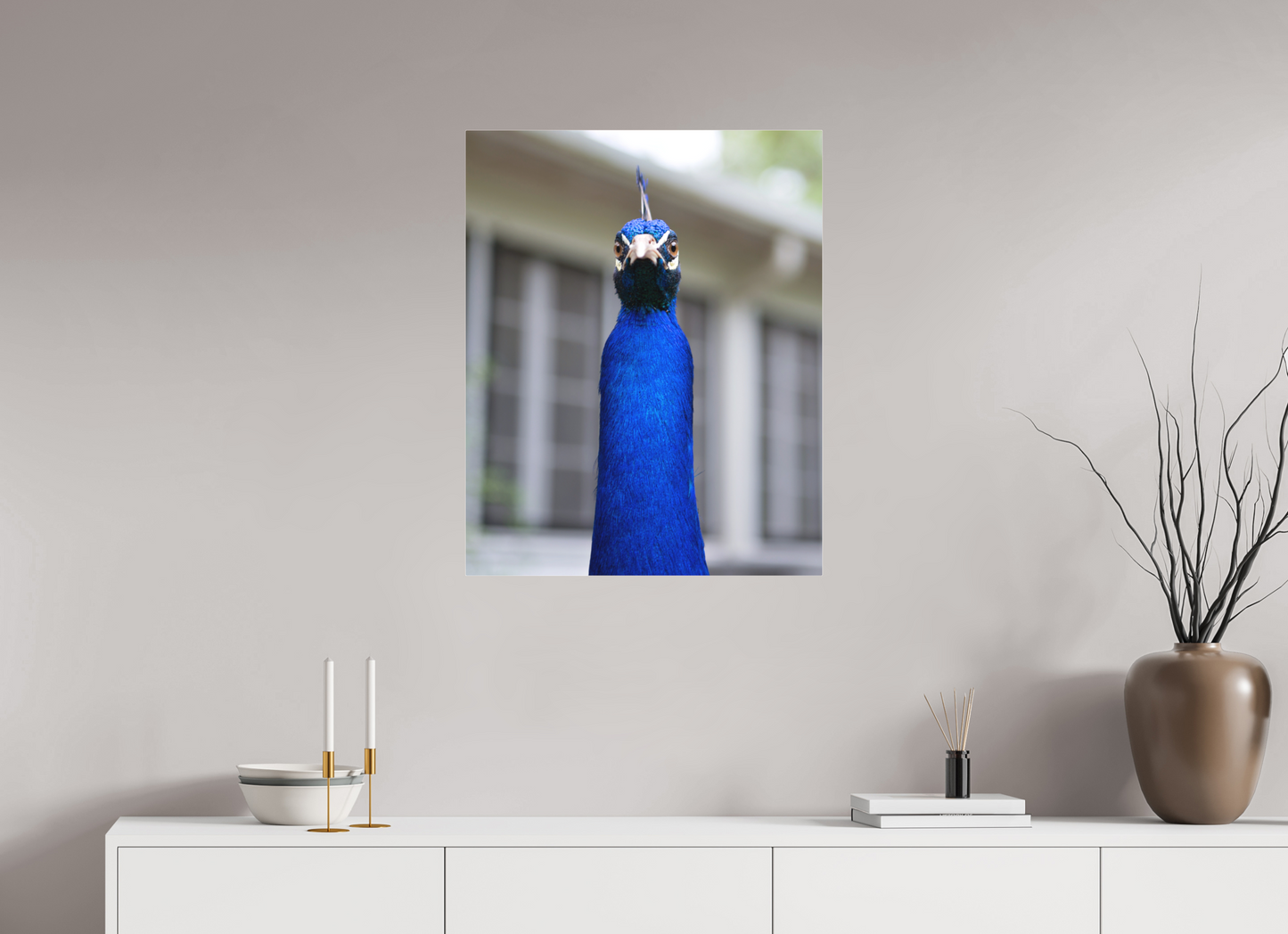 Foul Peafowl