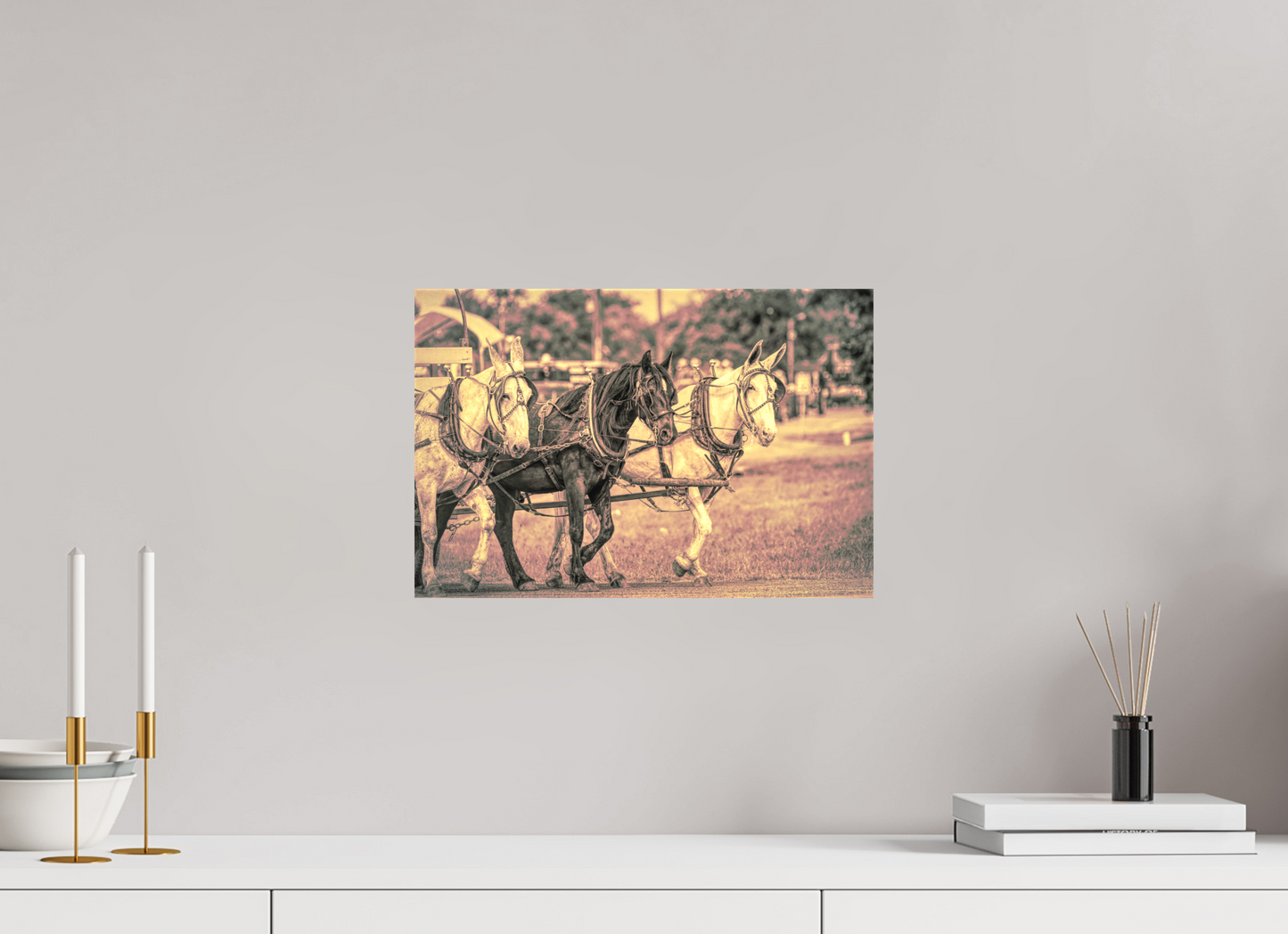 15 x 10″, Canvas Print Horsepower