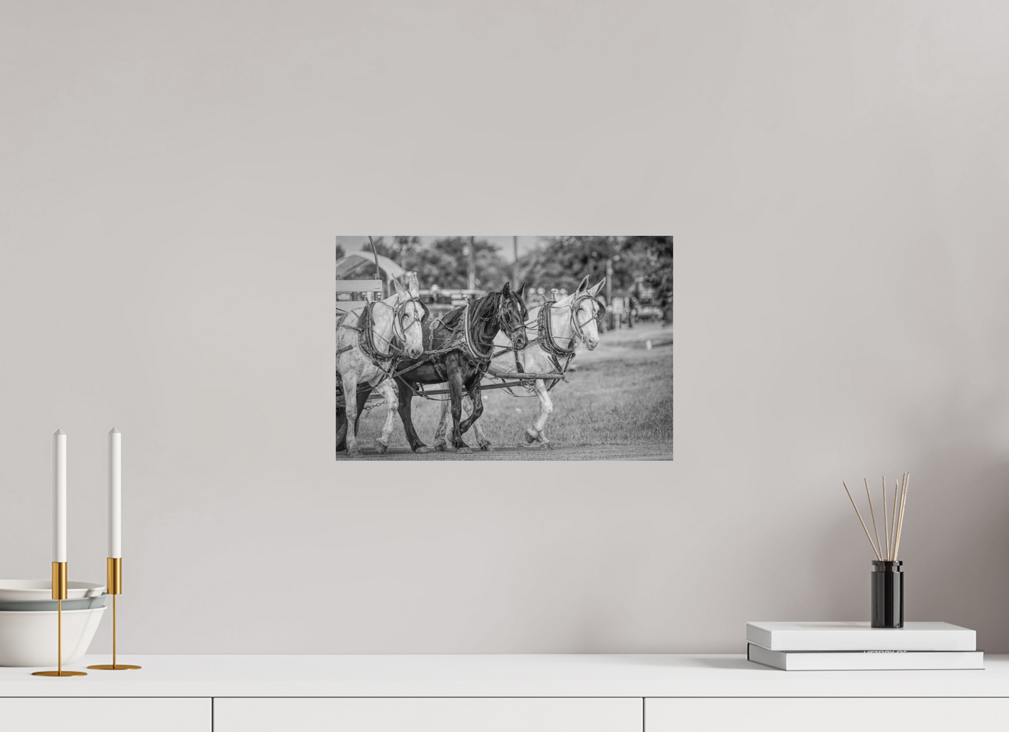 15 x 10″, Black and White Print Horsepower