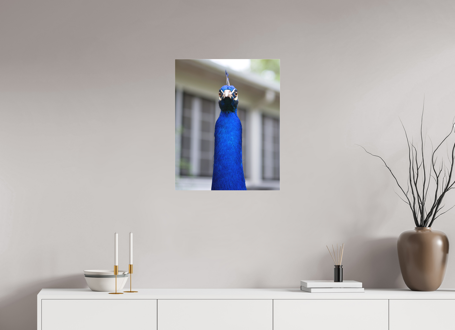 Foul Peafowl